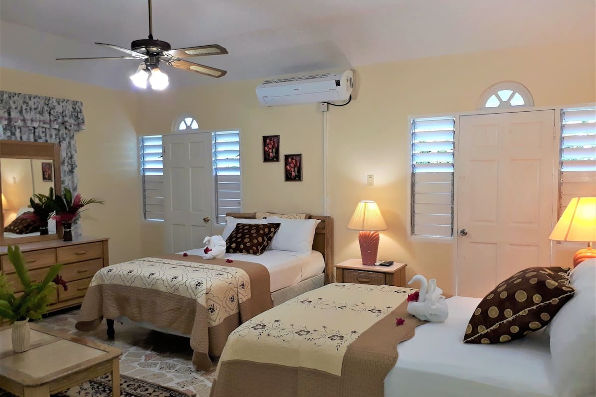 Une chambre d’hôtel avec deux lits, un ventilateur de plafond, un appareil de climatisation, une petite table avec une lampe et une plante en pot.