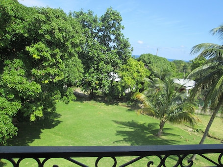 Vista del balcón