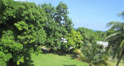 Paradise Inn