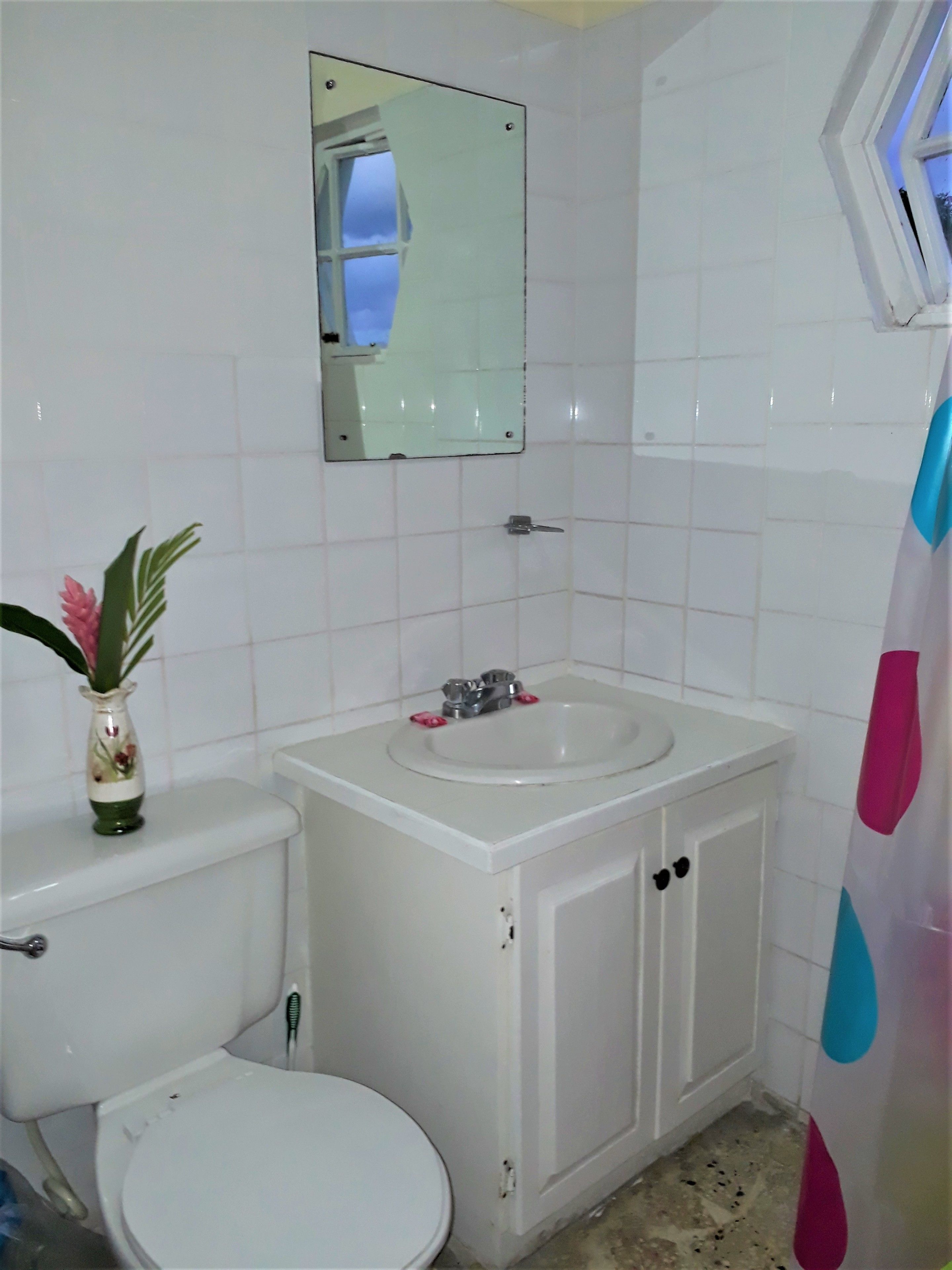 A bathroom with a toilet, sink, and mirror.
