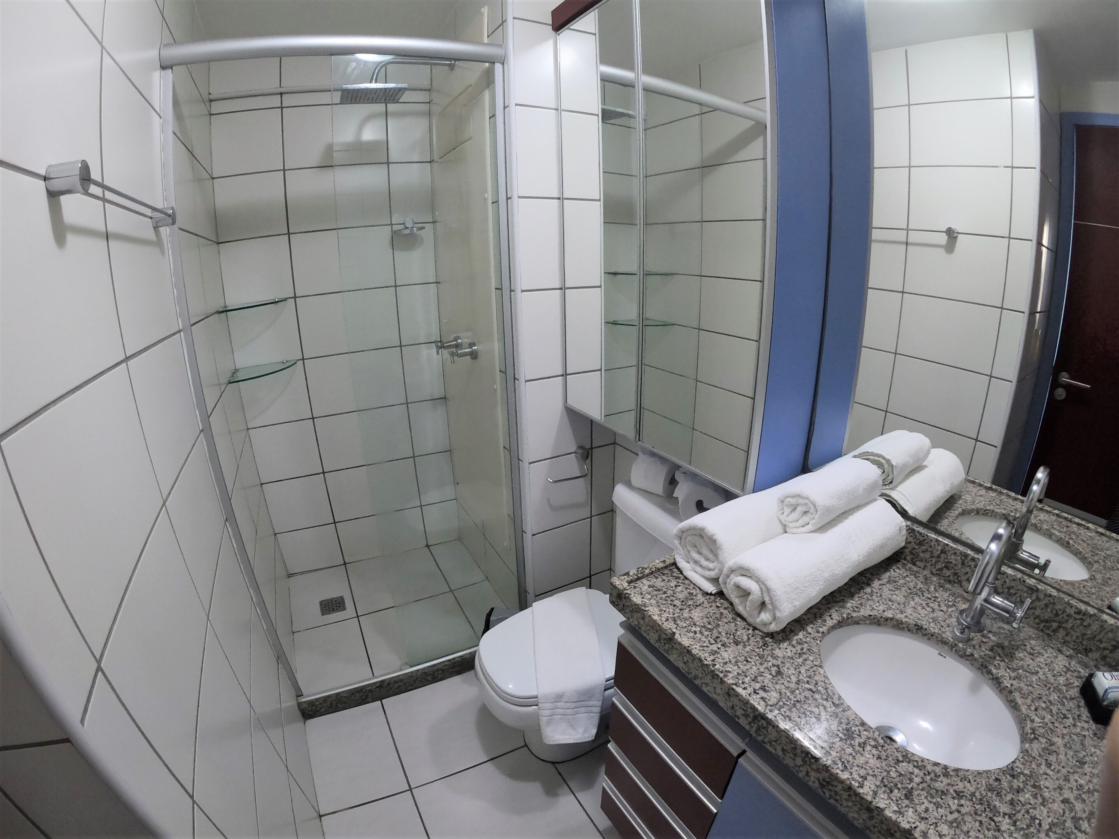 A bathroom with a glass-enclosed shower, a toilet, a sink, and a mirror.
