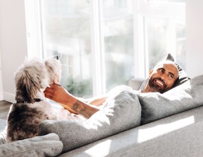 Télévision à écran plat de 42 pouces avec chaînes par câble, télévision