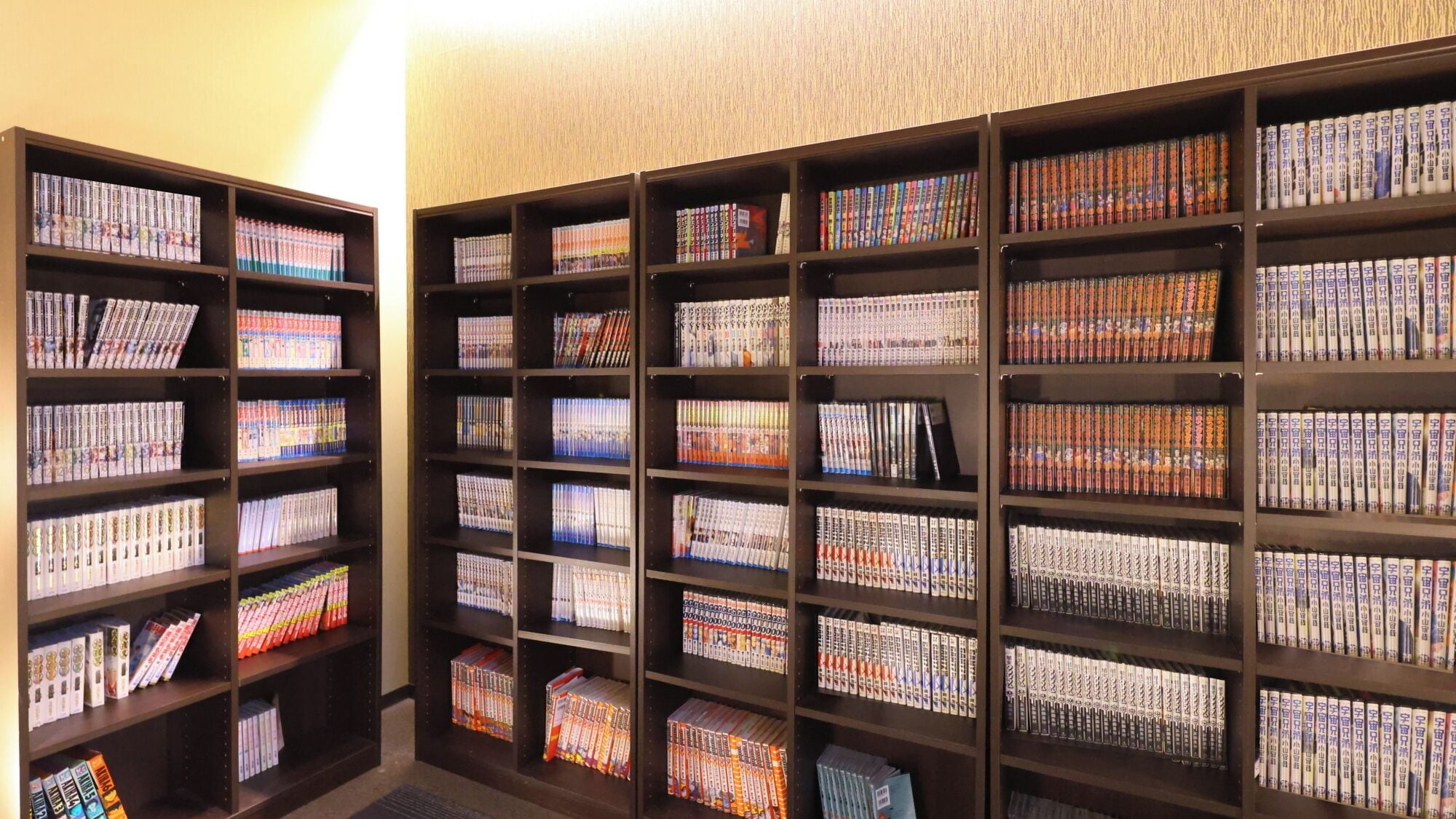 Una biblioteca con estanterías repletas de libros y DVD.
