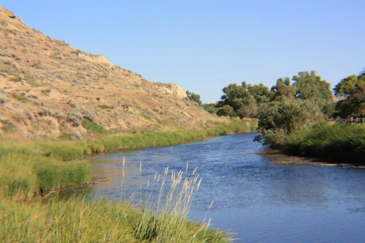 A river flowing through a natural landscape with grassy banks and trees.