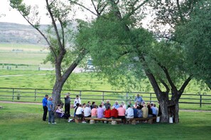 A group of people gathered around a wooden bench under large trees in a park with a grassy field and a fence in the background.