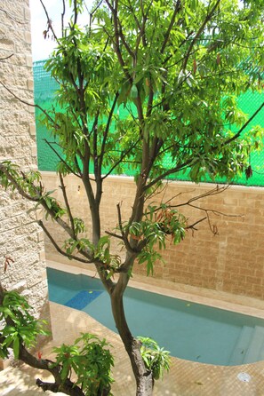 Un árbol con hojas verdes en un espacio interior con una pared de ladrillo y una piscina.