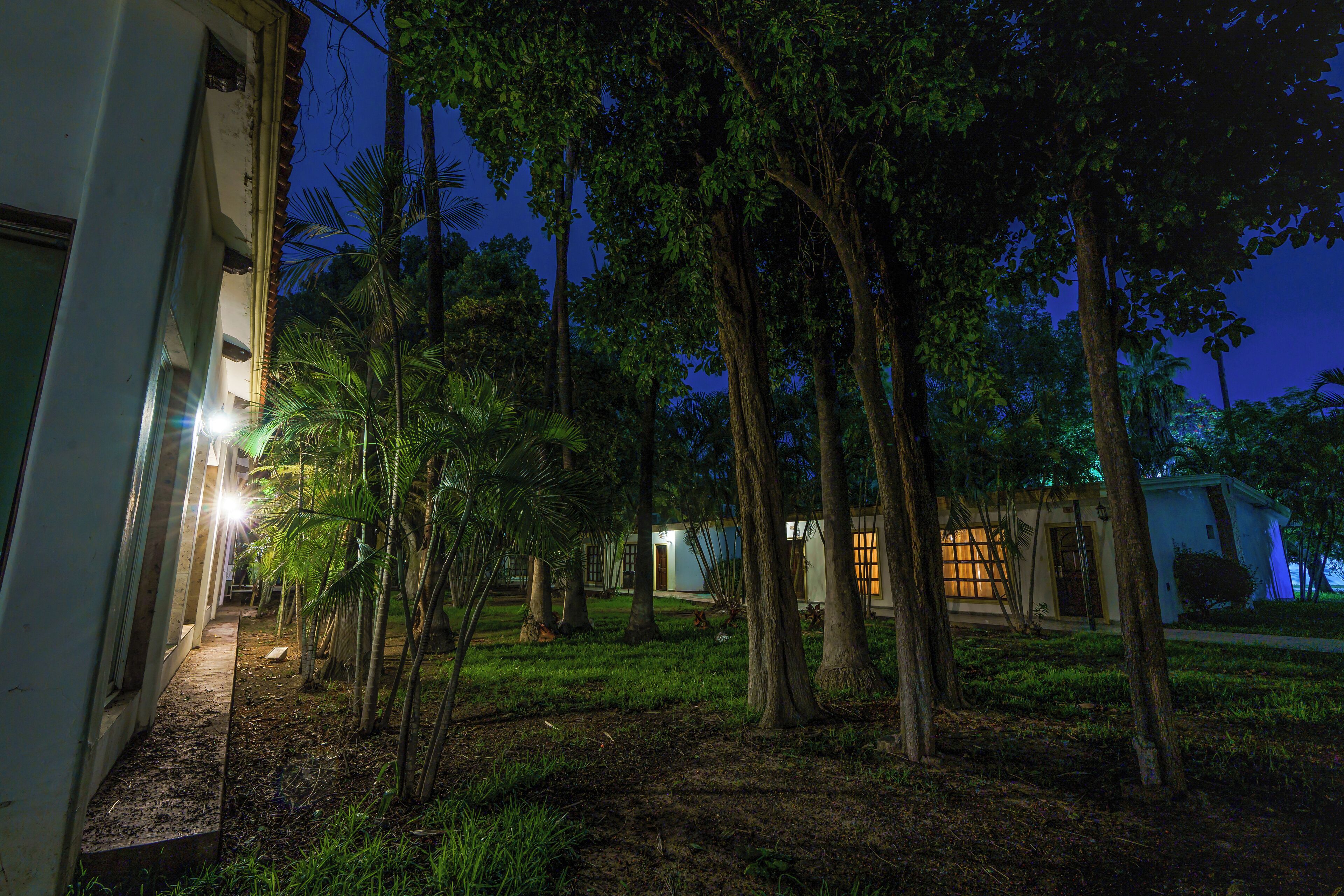 A nighttime view of a courtyard with trees, a pathway, and a building with illuminated windows.