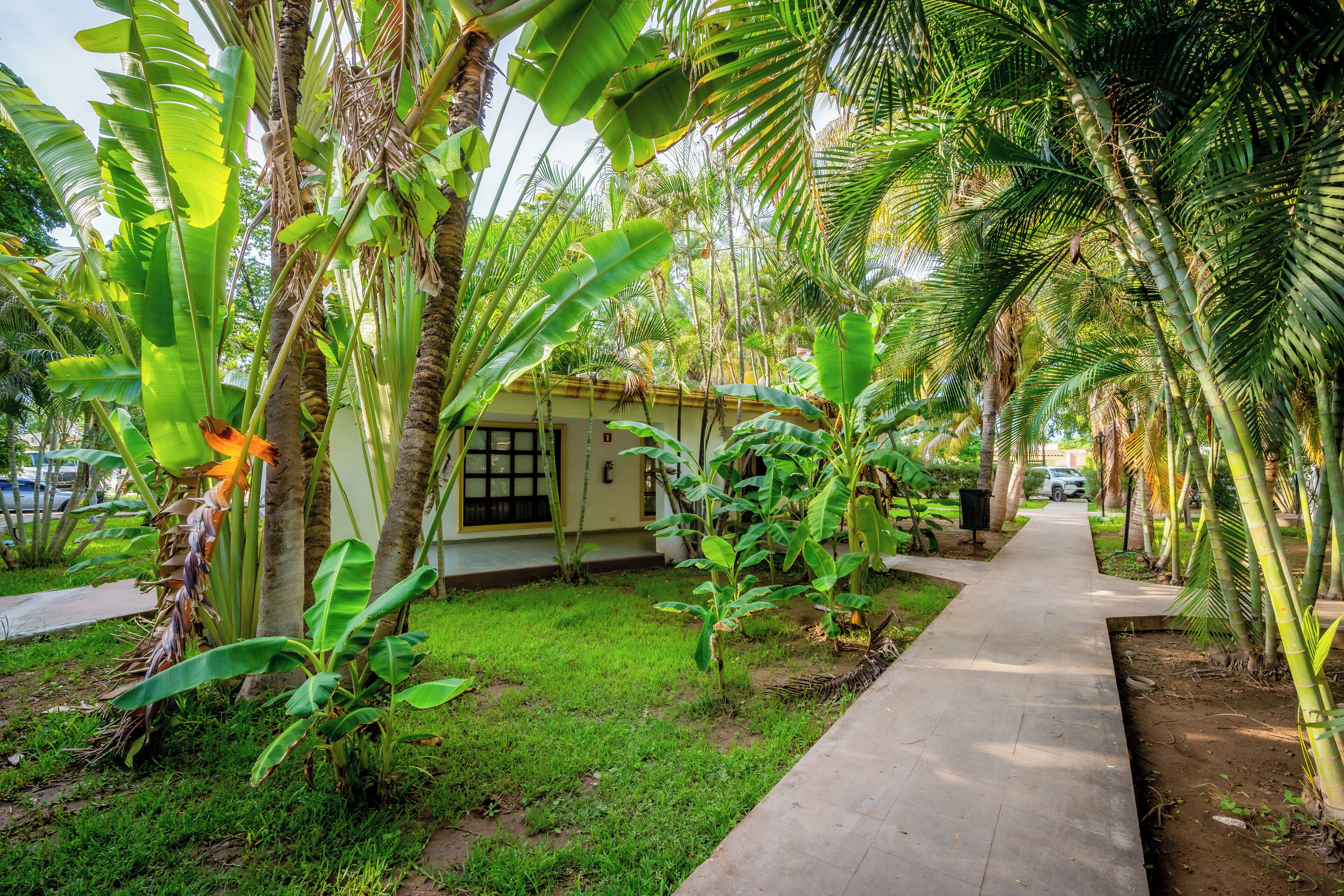 A pathway lined with banana trees and palm trees, leading to a small building with a tiled roof.
