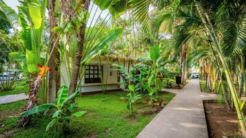 A pathway lined with banana trees and palm trees, leading to a small building with a tiled roof.