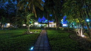 Un sendero nocturno en un jardín tropical que conduce a un edificio con ventanas iluminadas.