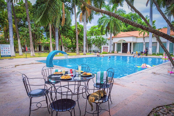 Outdoor pool, pool umbrellas, sun loungers