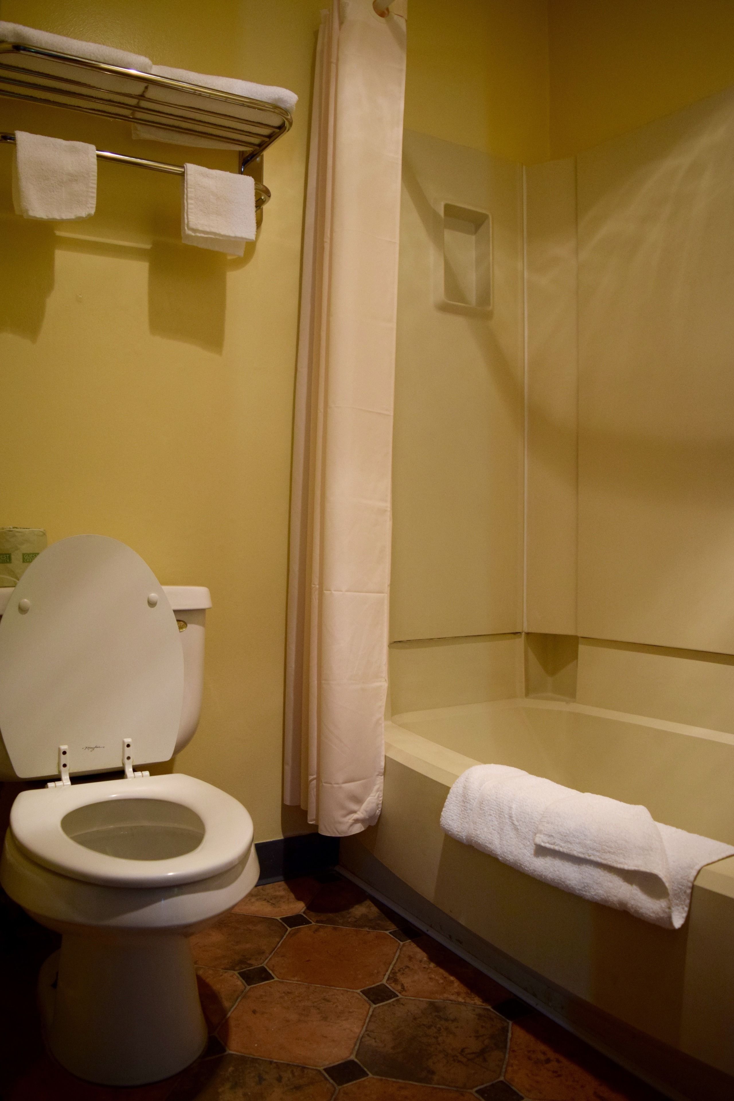 A bathroom with a toilet, a bathtub, and a shower curtain.