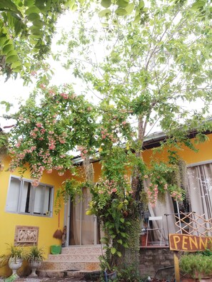Superior Double Room | Garden view - Penny's Home Stay Resort (Ban Chang)