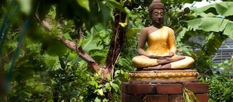 Penny's Home Stay Resort