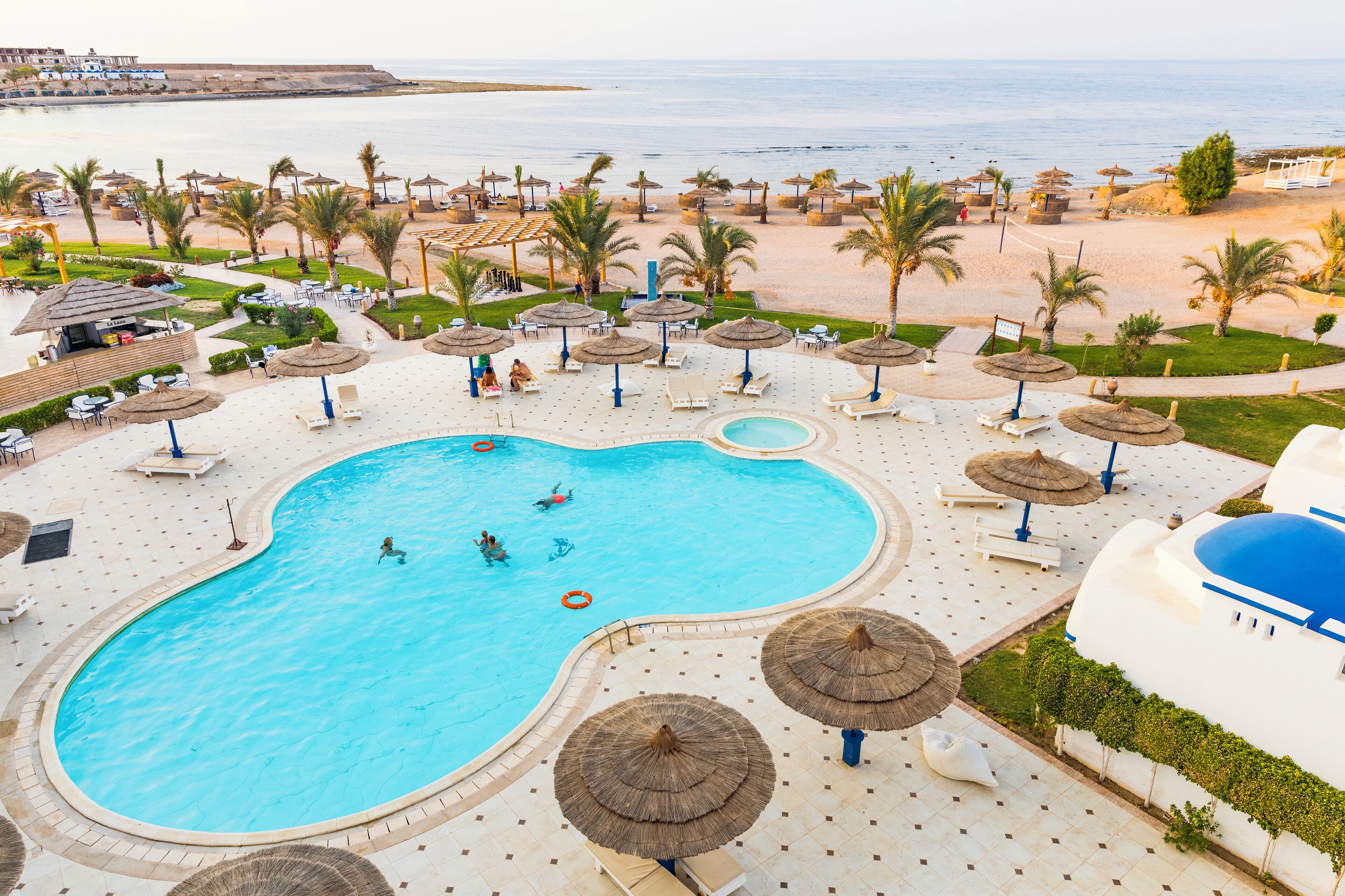 Une piscine entourée de chaises longues et de parasols, bordée de palmiers et offrant une vue sur la plage.