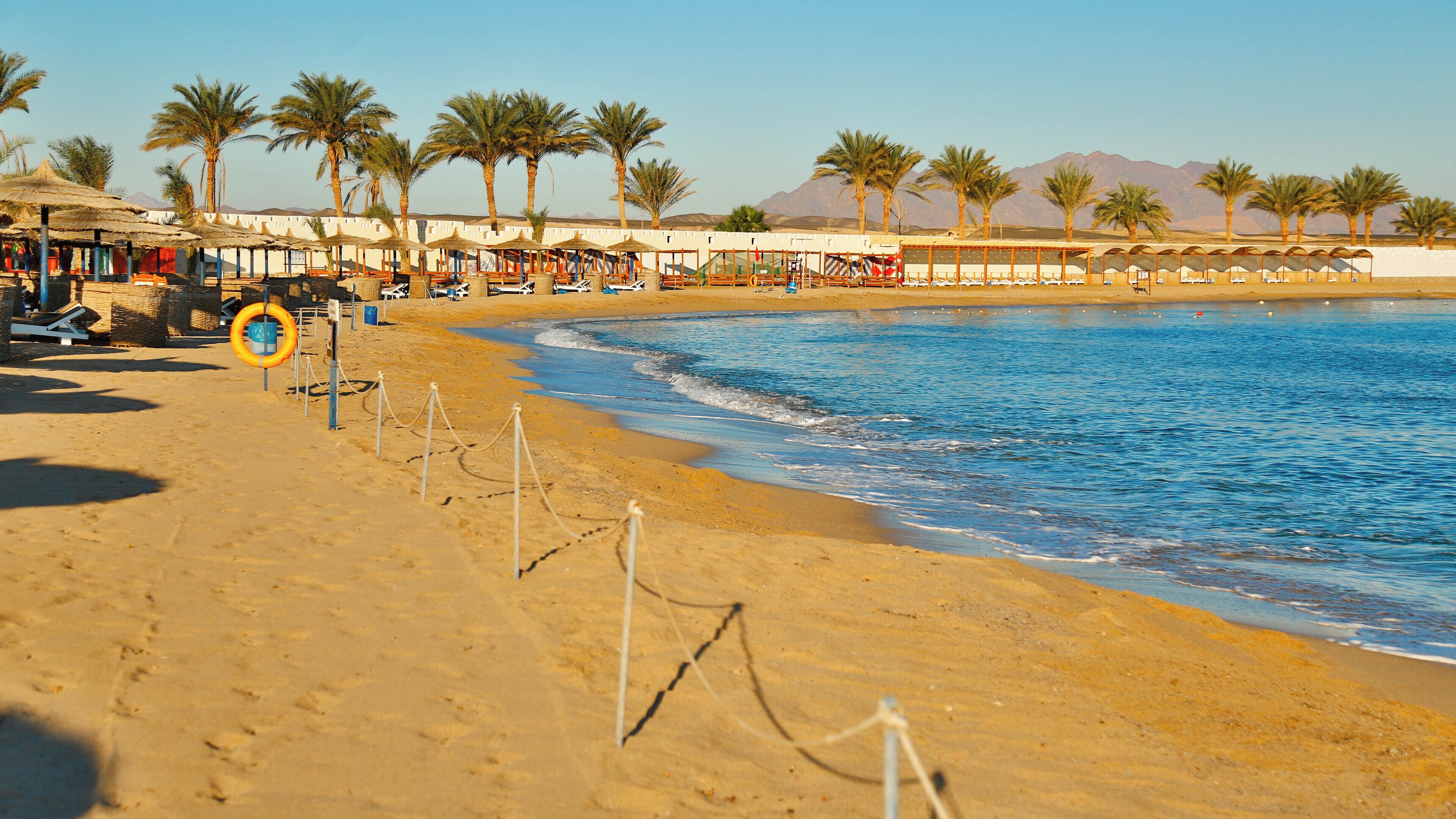 A beach with palm trees, a sandy shore, and a building with umbrellas.
