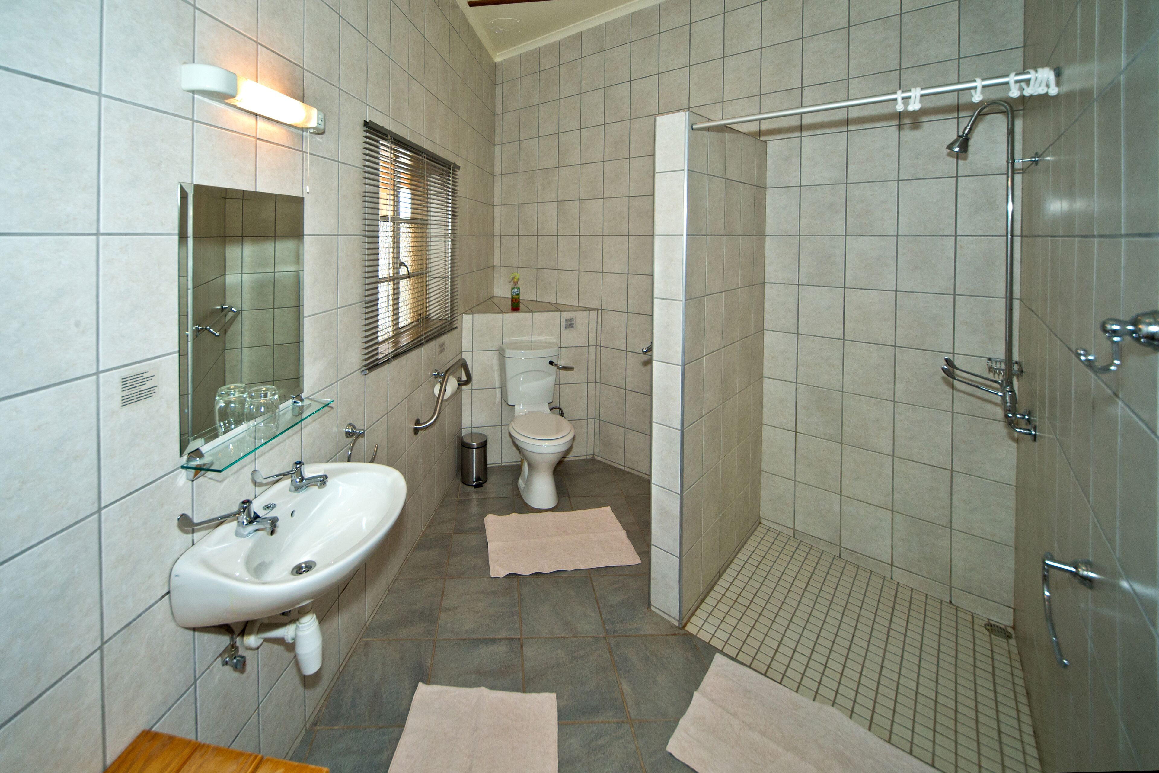 wheelchair friendly room | bathroom | shower, rainfall showerhead, towels, soap