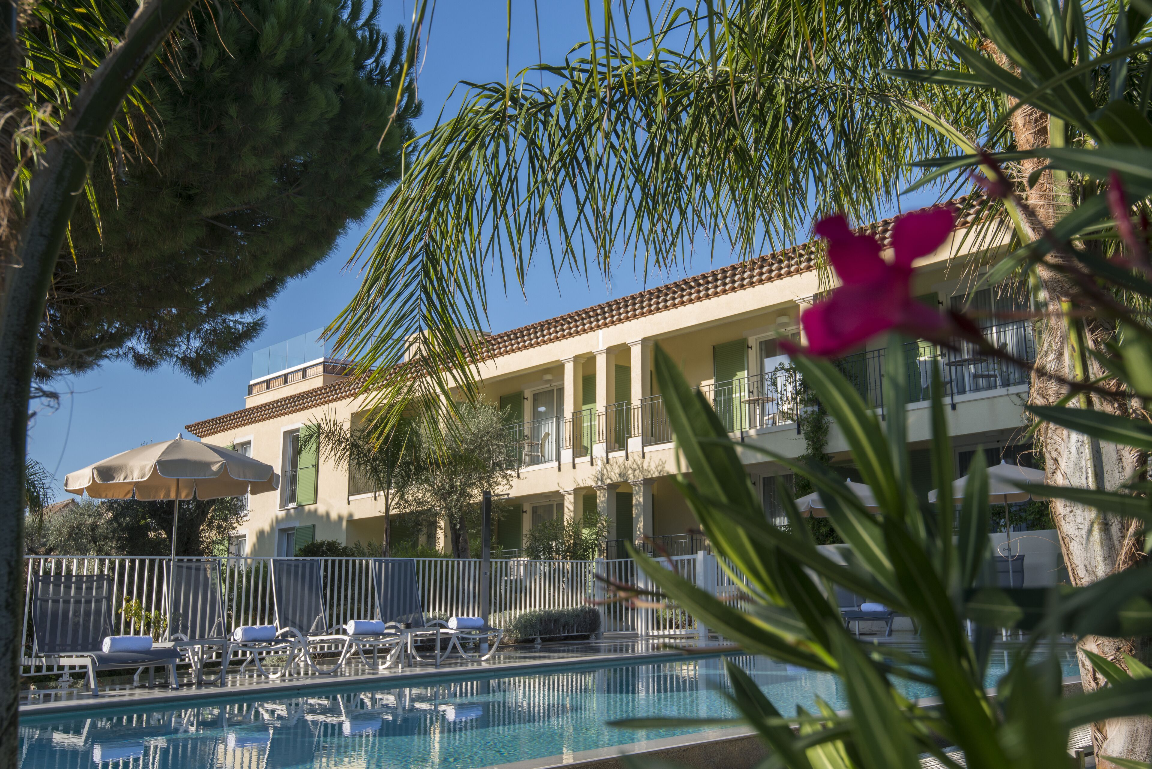 room, terrace (privilege) | garden view