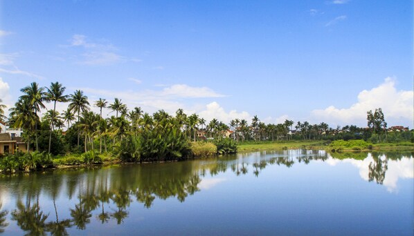Un lac paisible où se reflètent les palmiers et les maisons, entouré de verdure et surplombé d’un ciel dégagé.