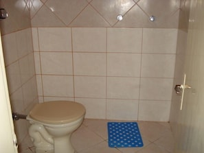 Shower, hair dryer