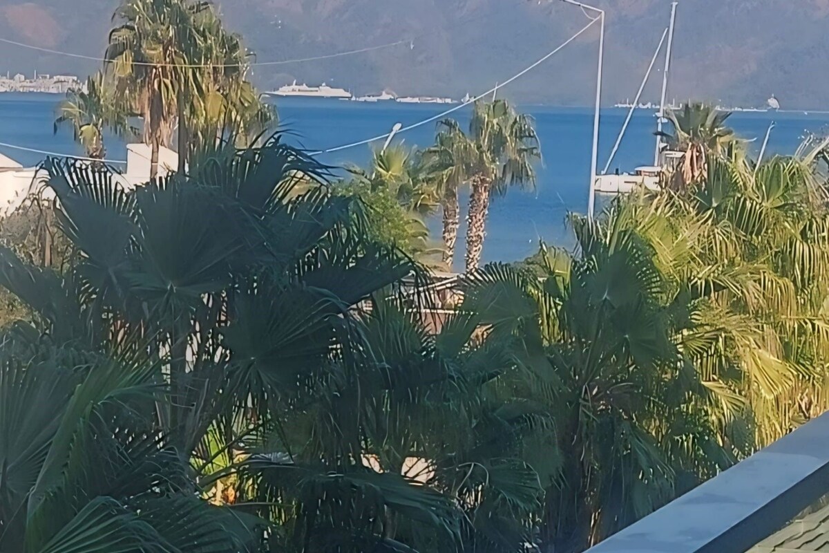 Vista costera con palmeras, un farol y una cadena montañosa distante.