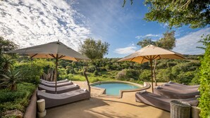 Zona de piscina con sillones de descanso y sombrillas, rodeada de vegetación y un cielo despejado.
