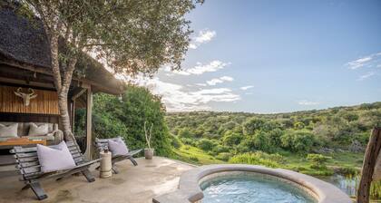 Safari Lodge - Amakhala Game Reserve