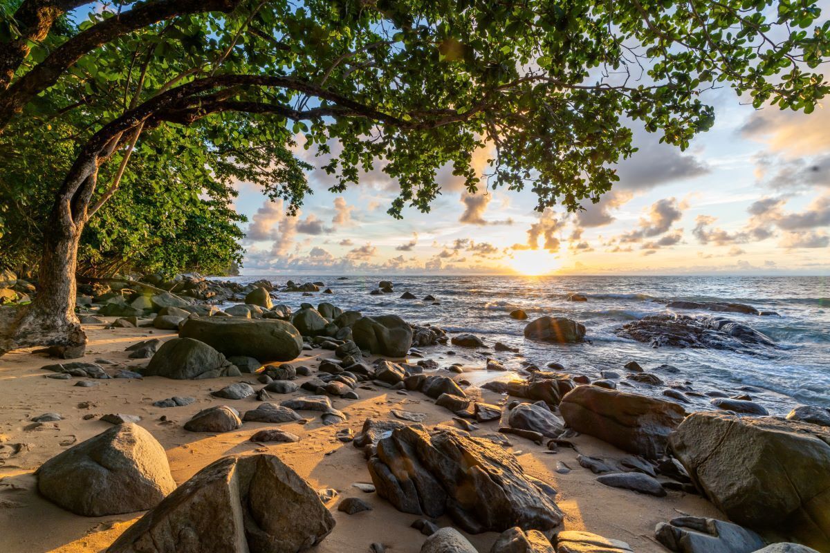 Foto - Baan Krating Khao Lak Resort - SHA plus