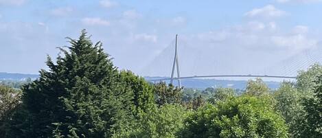 Vista de un puente con estructura de cables, rodeado de exuberante follaje verde.