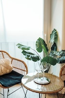 Una silla de mimbre con un cojín negro, una mesa de cristal con un plato decorativo y una planta de hojas grandes.