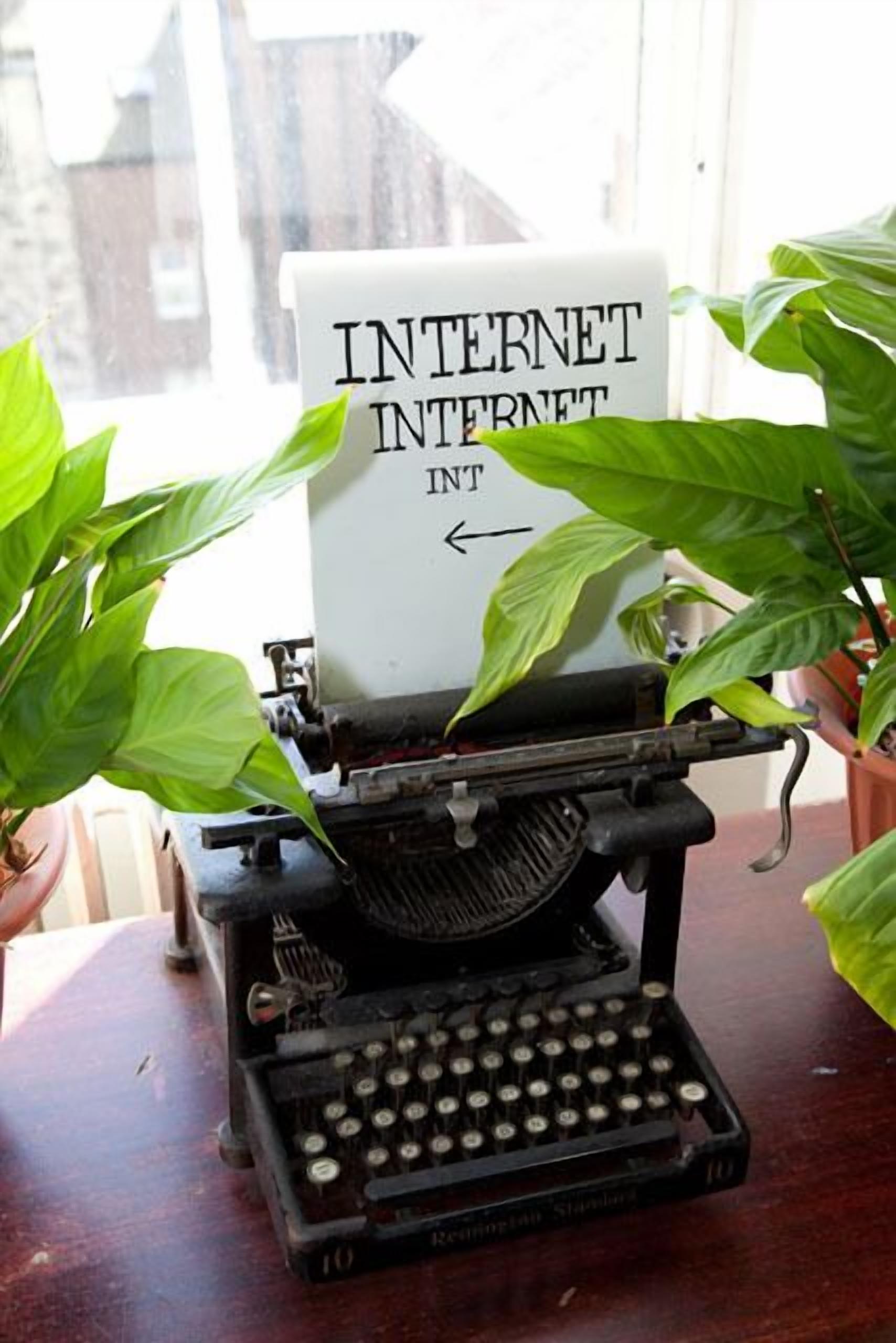 Foto - Castle Rock Hostel - Adults Only