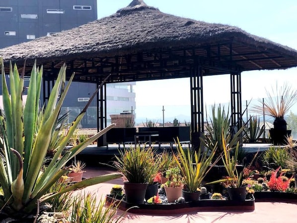 A rooftop garden with a thatched gazebo, various potted plants, and a view of a cityscape in the background. - Holiday Inn Express Pachuca by IHG (Pachuca)