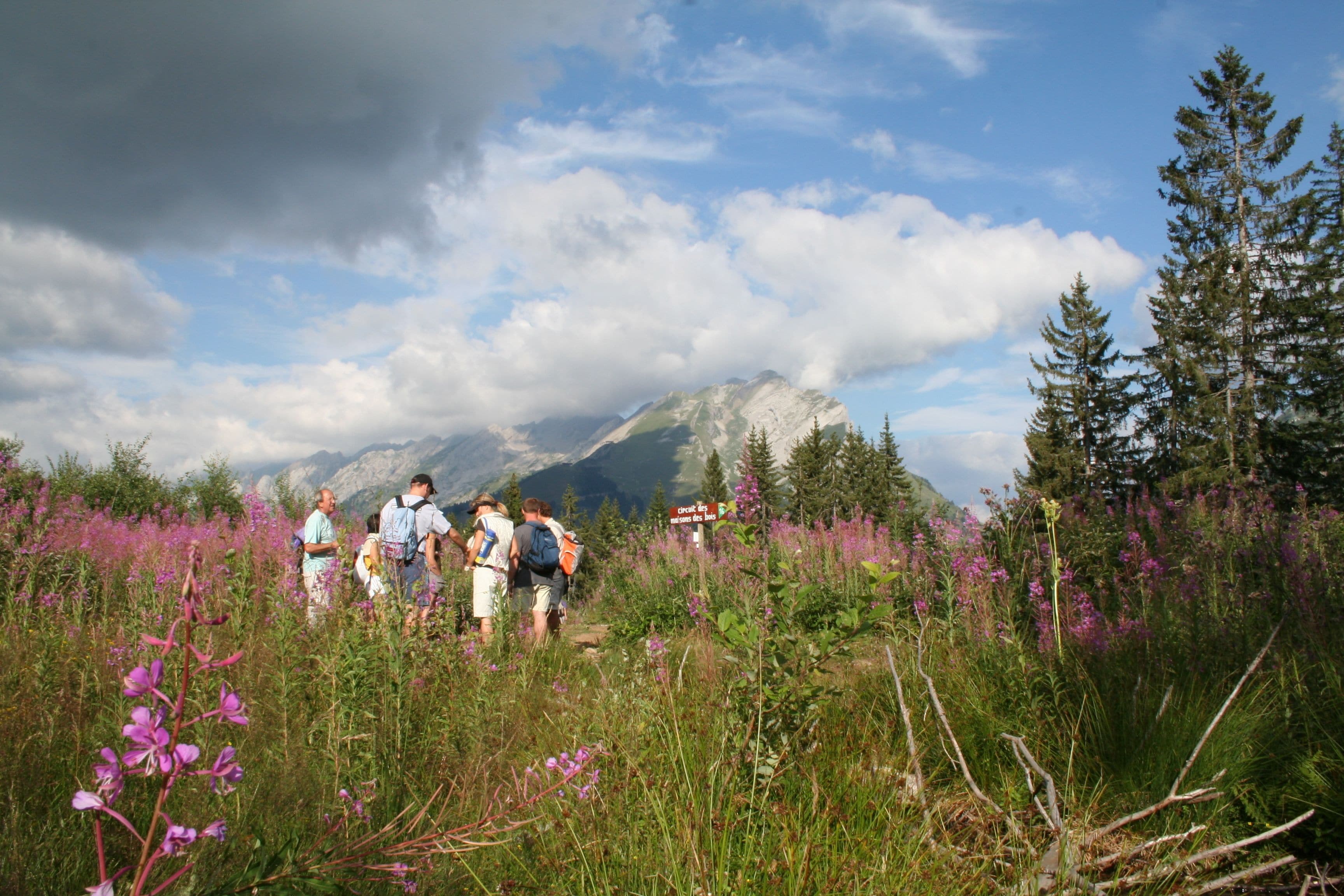 Un grupo de excursionistas en un paisaje natural con montañas al fondo.