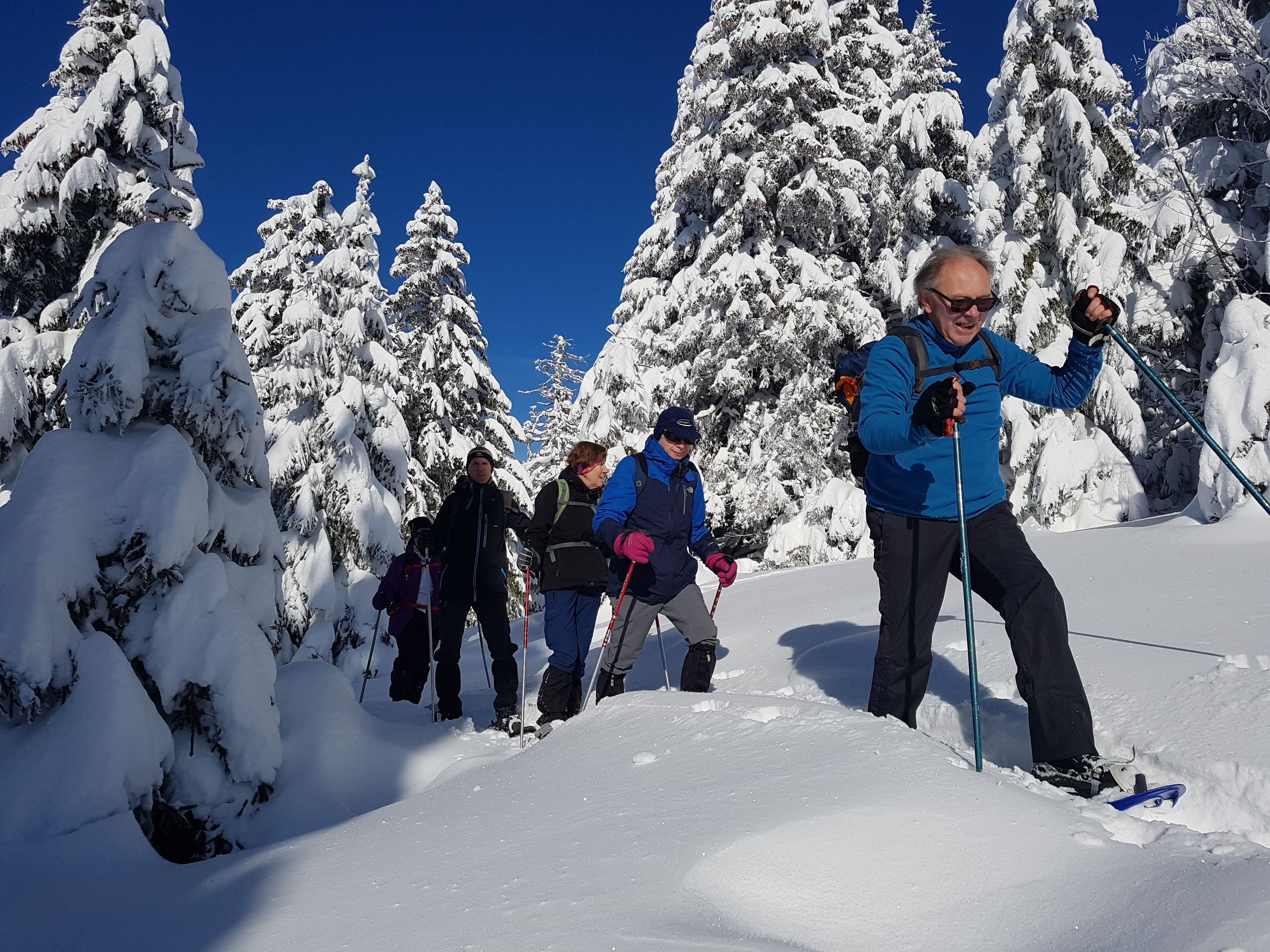 A group of people skiing in a snowy forest.