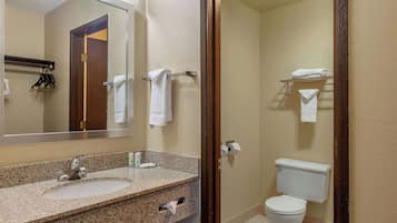Un baño con lavamanos de granito, un espejo, inodoro y un perchero para toallas.