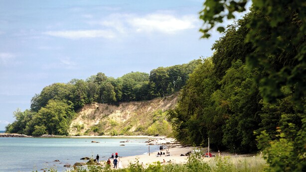 A beach with people, a sandy shore, and a forested cliff. - Koopmanns Hotel und Lädchen (Göhren)