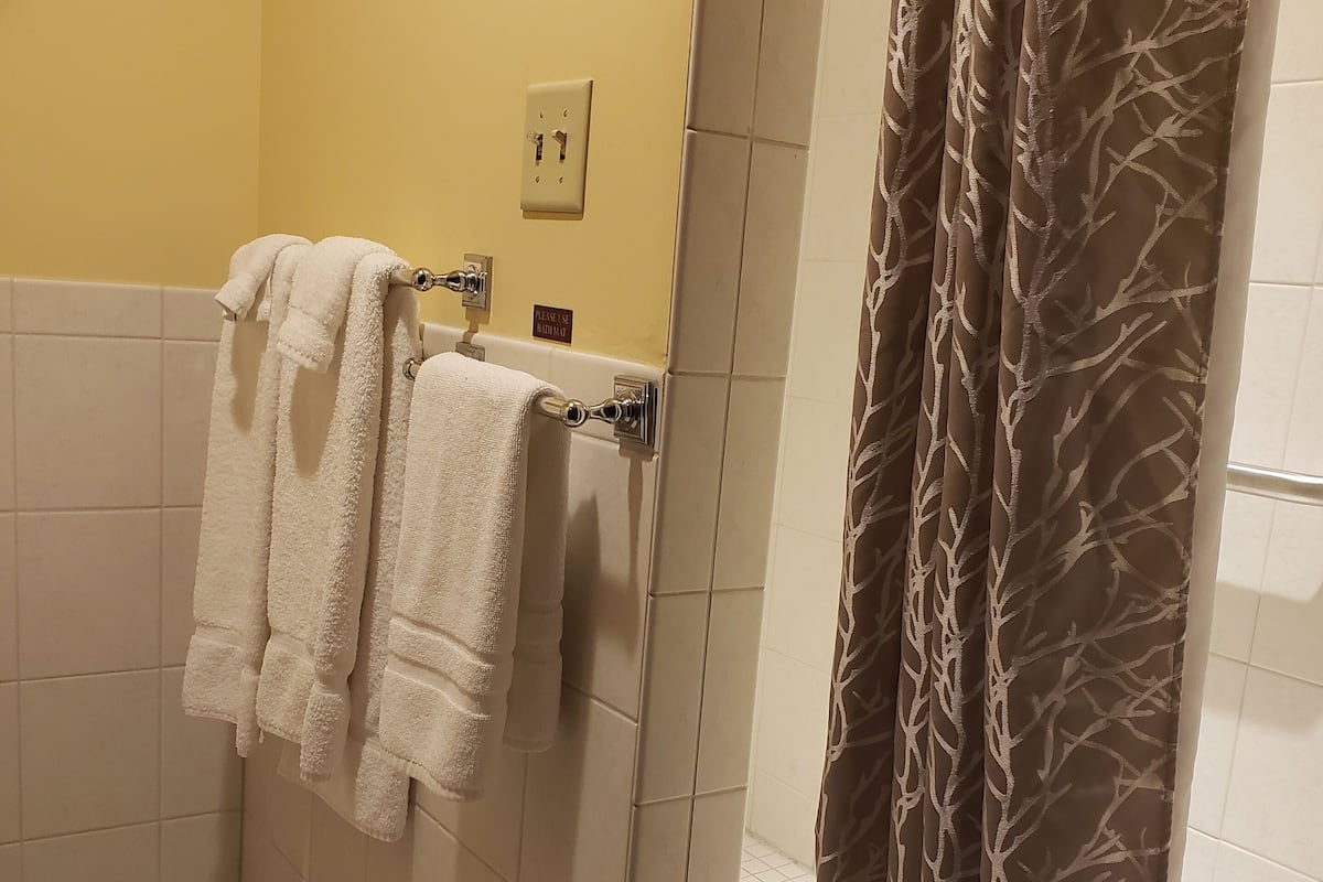 shower, rainfall showerhead, designer toiletries, hair dryer