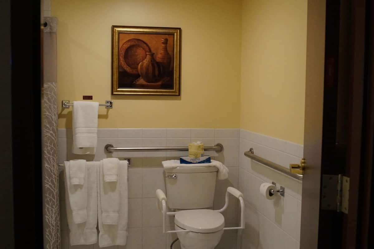 standard single room, 1 king bed, accessible | bathroom | shower, rainfall showerhead, designer toiletries, hair dryer