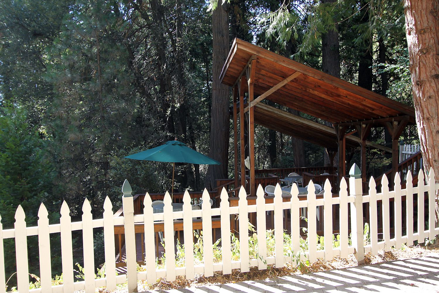A wooden deck with a white picket fence, surrounded by tall trees.