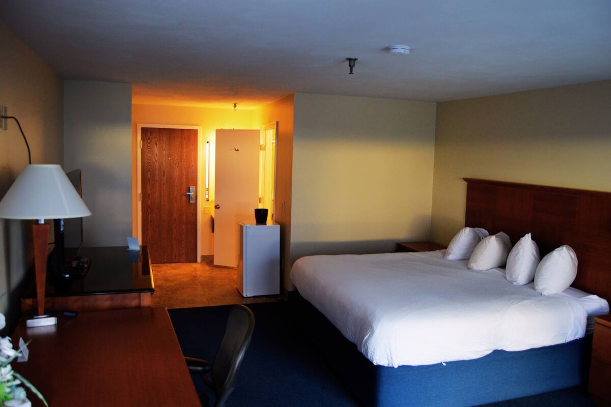 Une chambre d’hôtel comprenant un lit, un bureau avec une lampe, une chaise et un petit réfrigérateur.