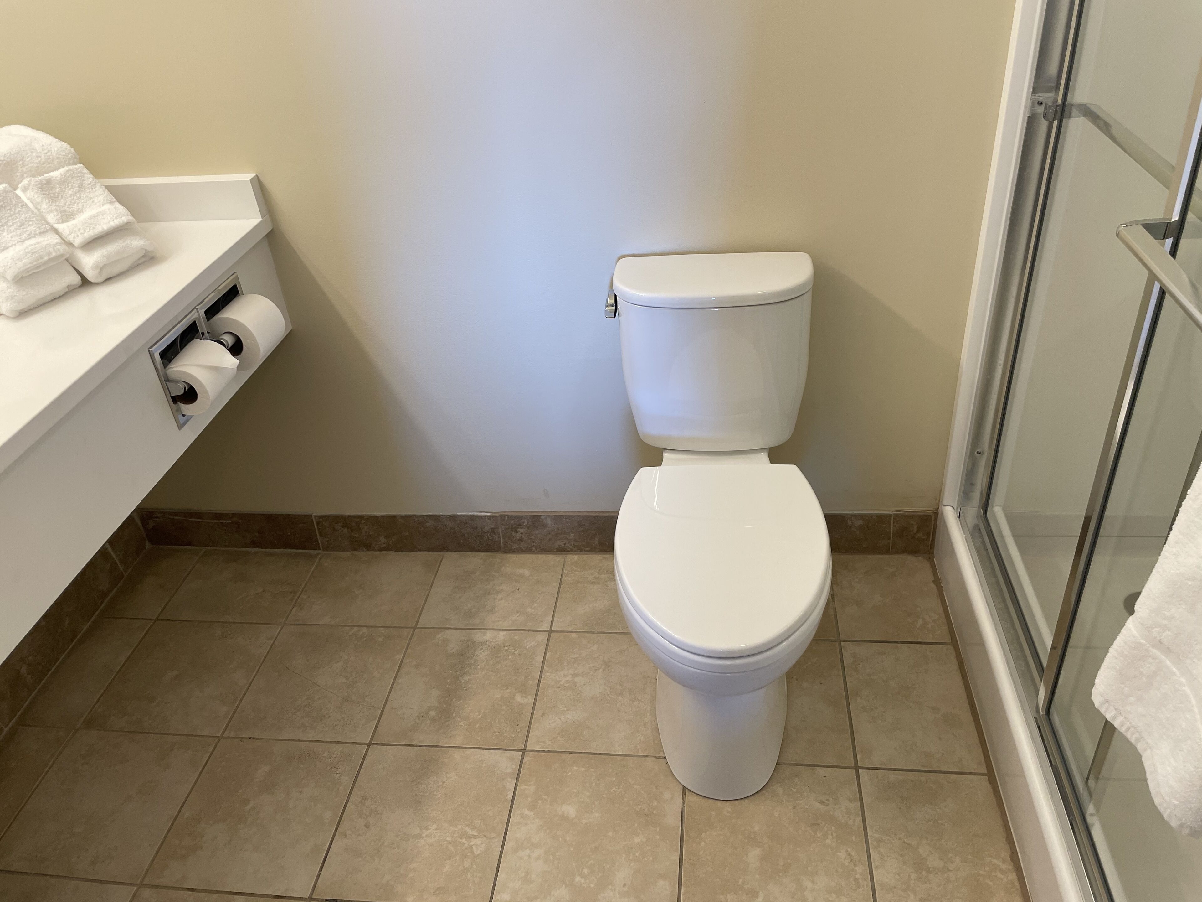 A bathroom with a toilet, a towel rack, and a shower area.