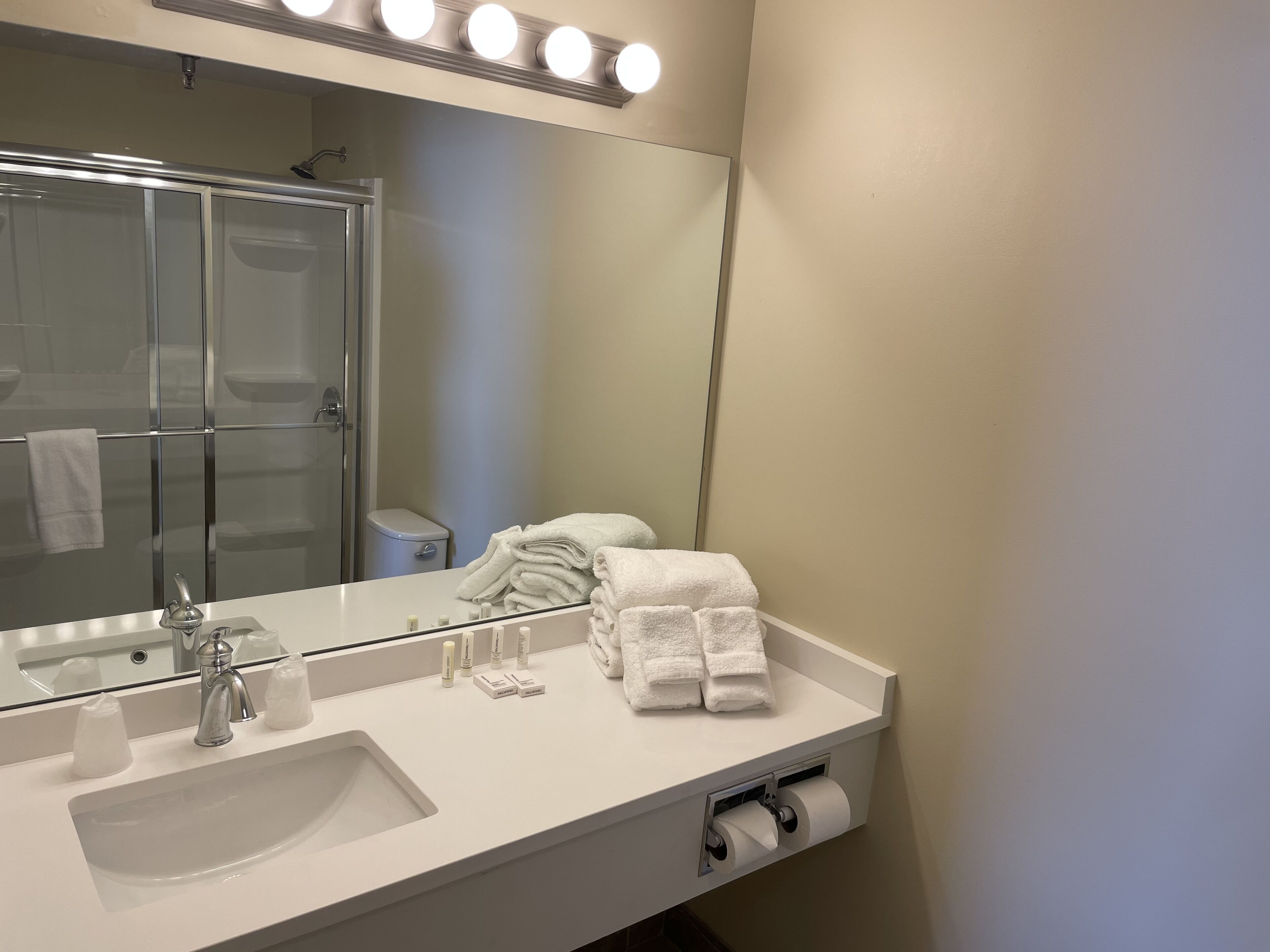 shower, free toiletries, hair dryer, towels