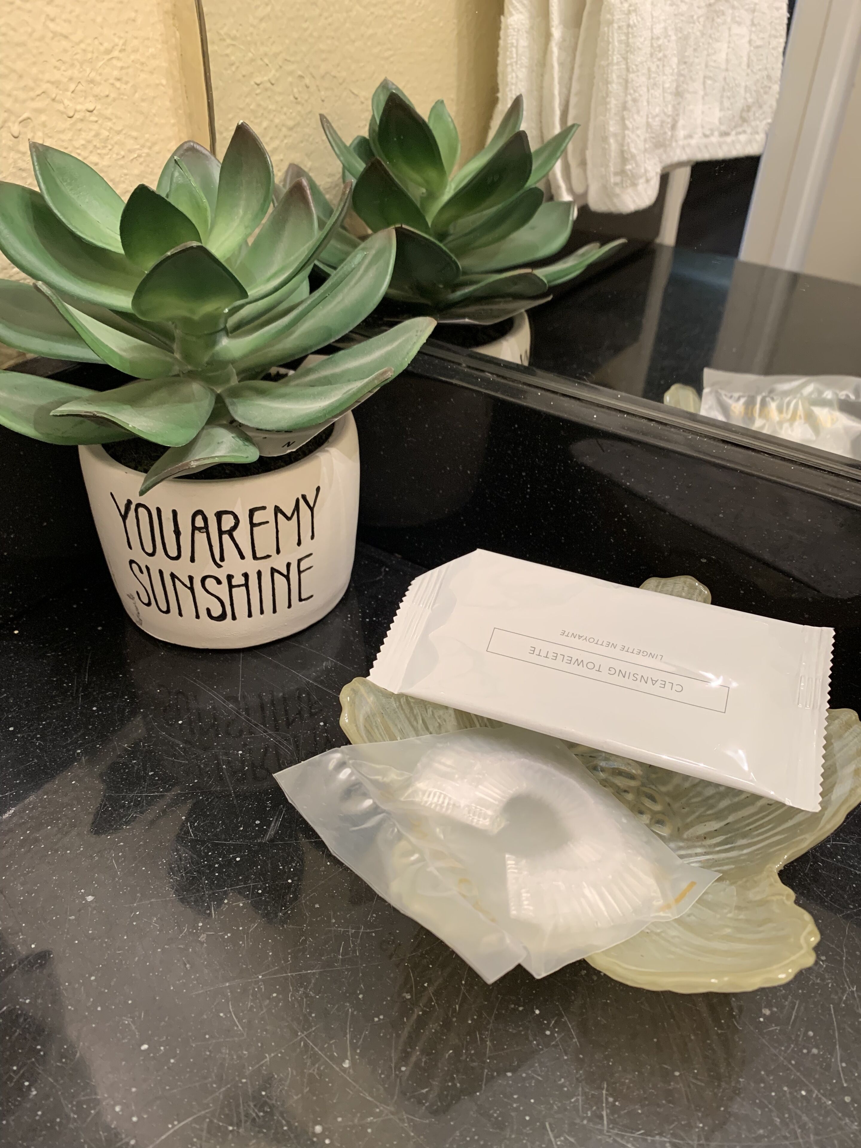 Ruukussa oleva mehikasvi, jonka kyljessä lukee teksti ”YOUAREMY SUNSHINE”, sen vieressä paketti ”CLEANSING TOWEL” -puhdistuspyyhkeitä ja heijastavalla pinnalla muovipussi.