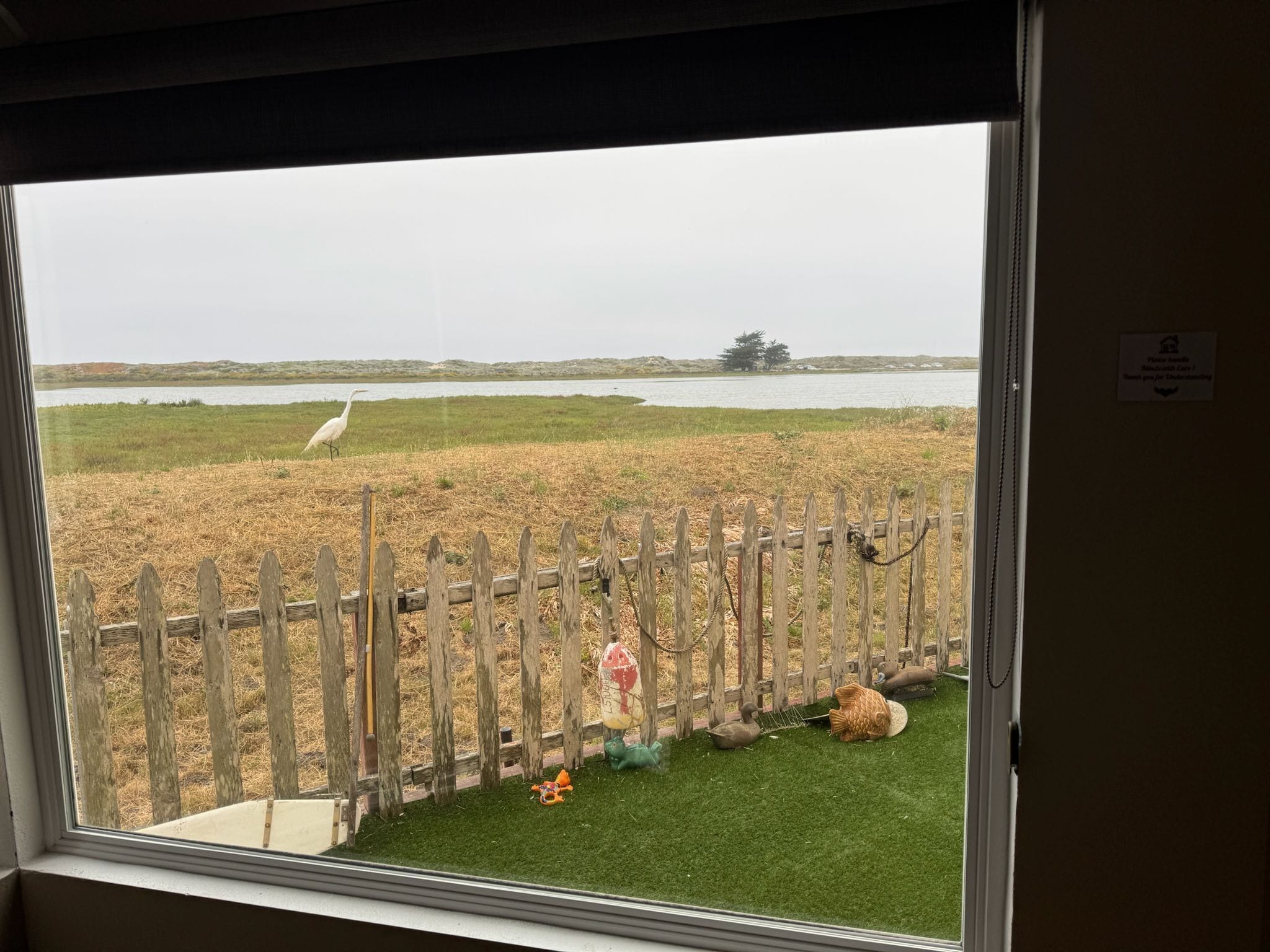 A view through a window of a room with a view of a fenced outdoor area with a body of water and a tree in the distance.
