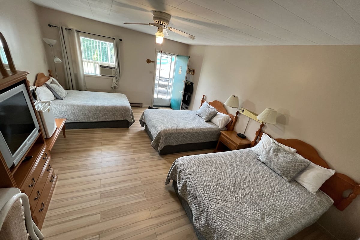 Economy Triple Room | Desk, laptop workspace, iron/ironing board, free WiFi