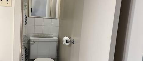 Ett litet, smalt badrum med en toalett, en spegel och en lampa monterad ovanför spegeln.
