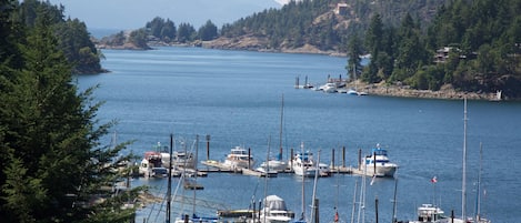 Vista desde la propiedad