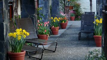Un patio empedrado con dos sillas de metal y varias macetas con flores amarillas y rosadas.