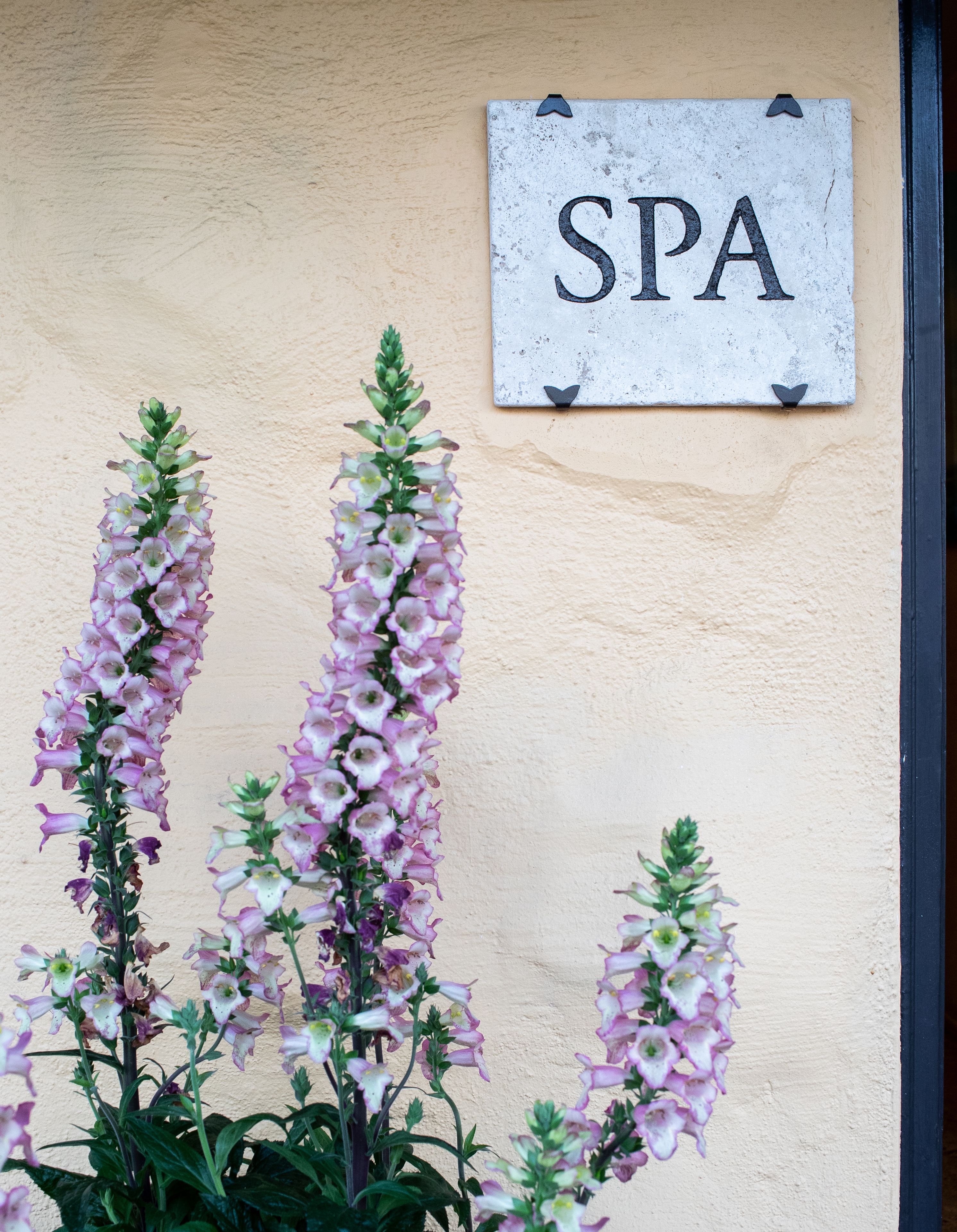 A wall-mounted sign reading "SPA" and a plant with tall, purple flowers.