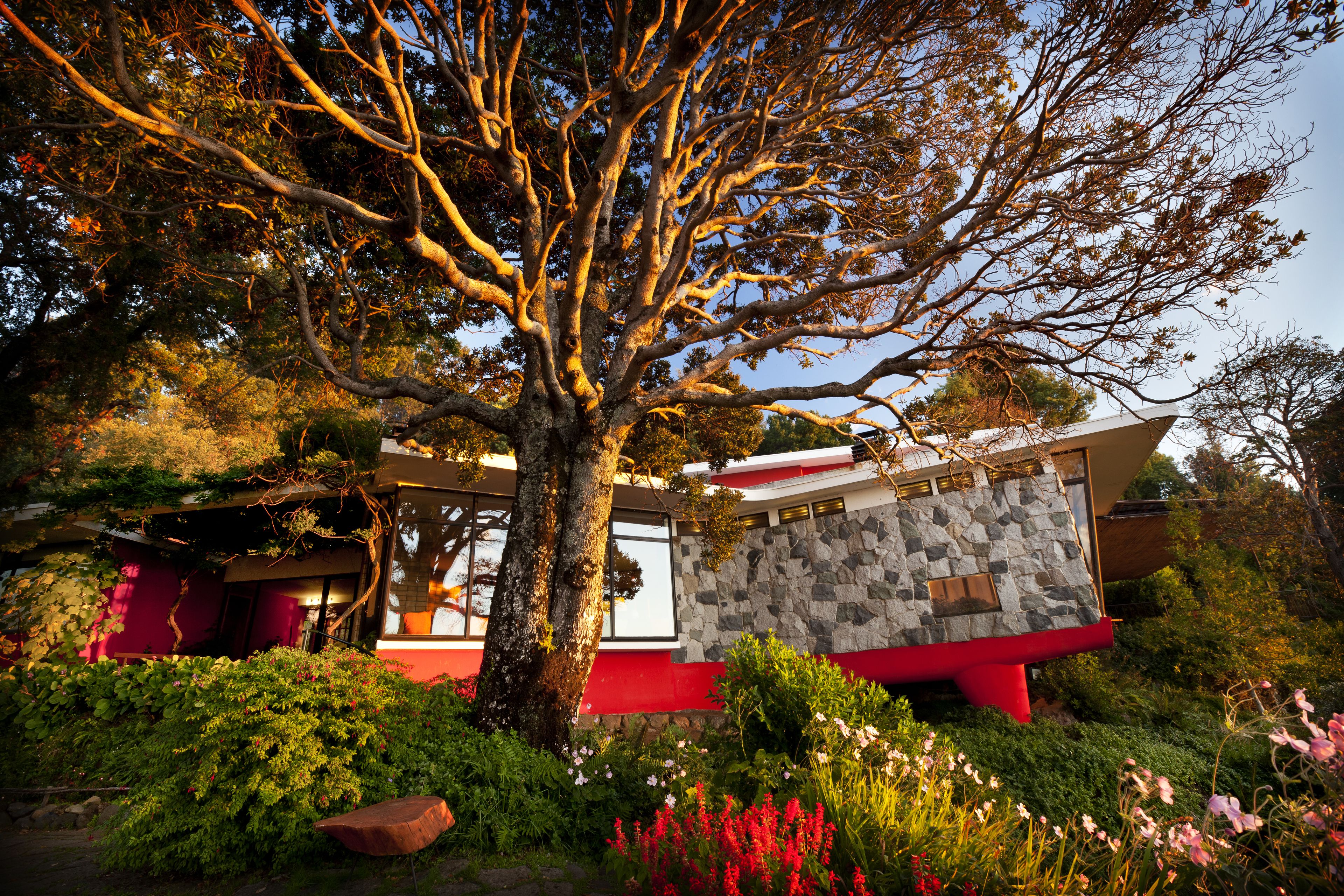 Photo - Hotel Antumalal